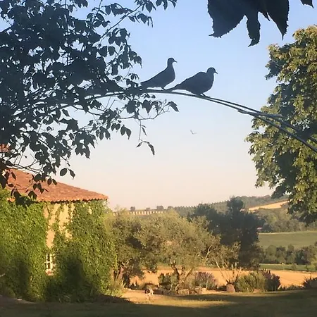 Domaine Du Gail Bed & Breakfast Nérac